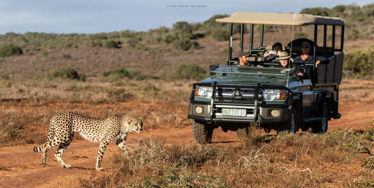 Woodbury Tented Camp - Amakhala Game Reserve Exterior foto