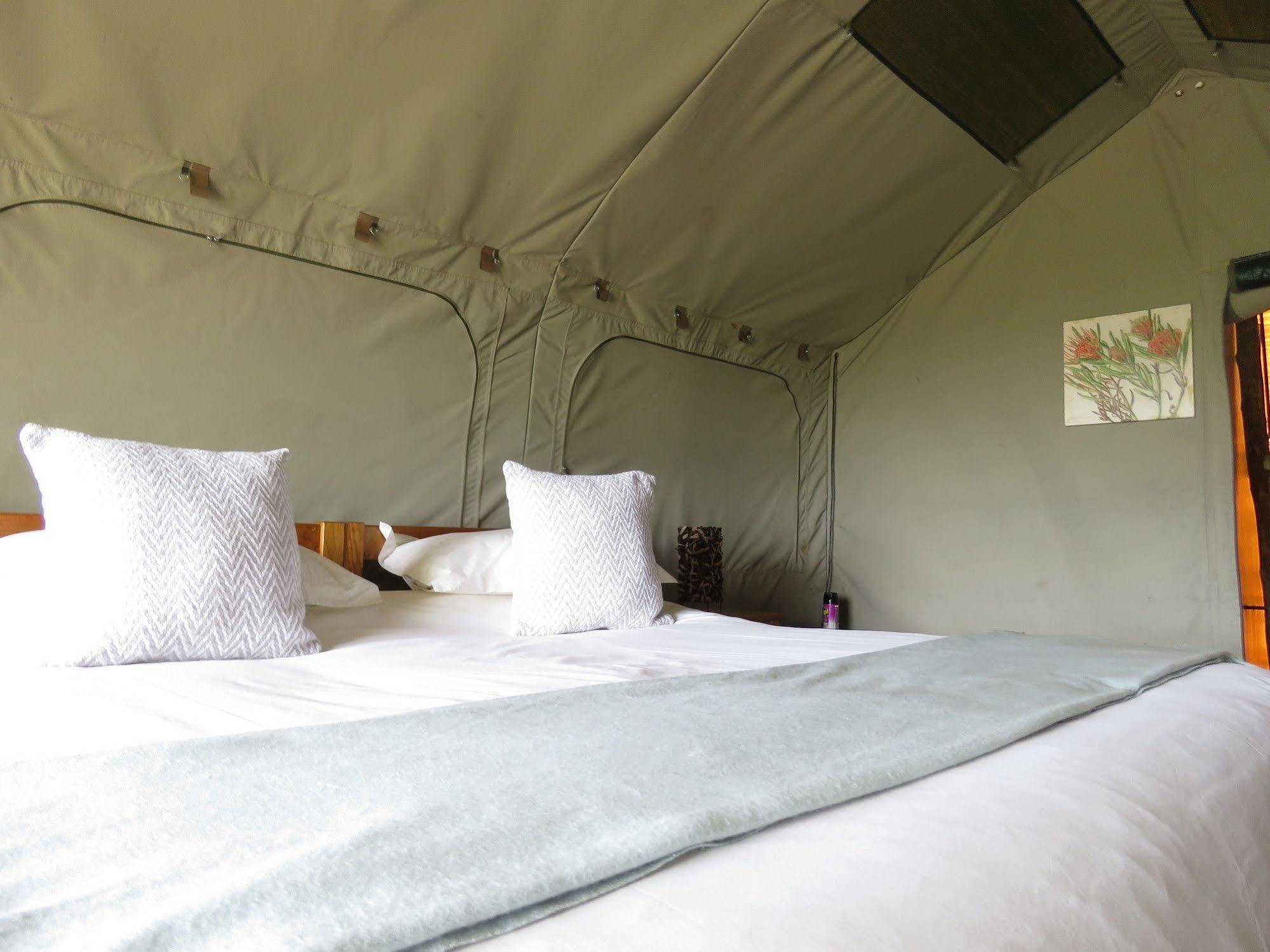 Woodbury Tented Camp - Amakhala Game Reserve Exterior foto